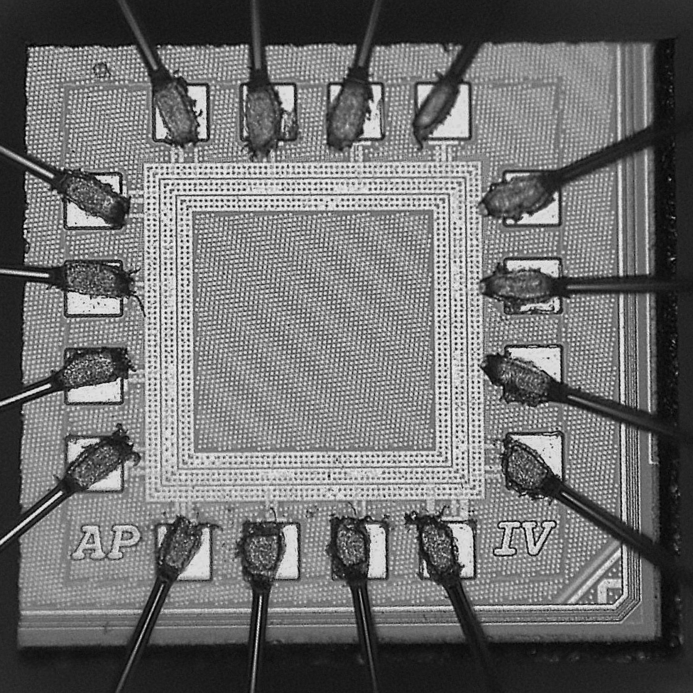 ASIC 2020 photo