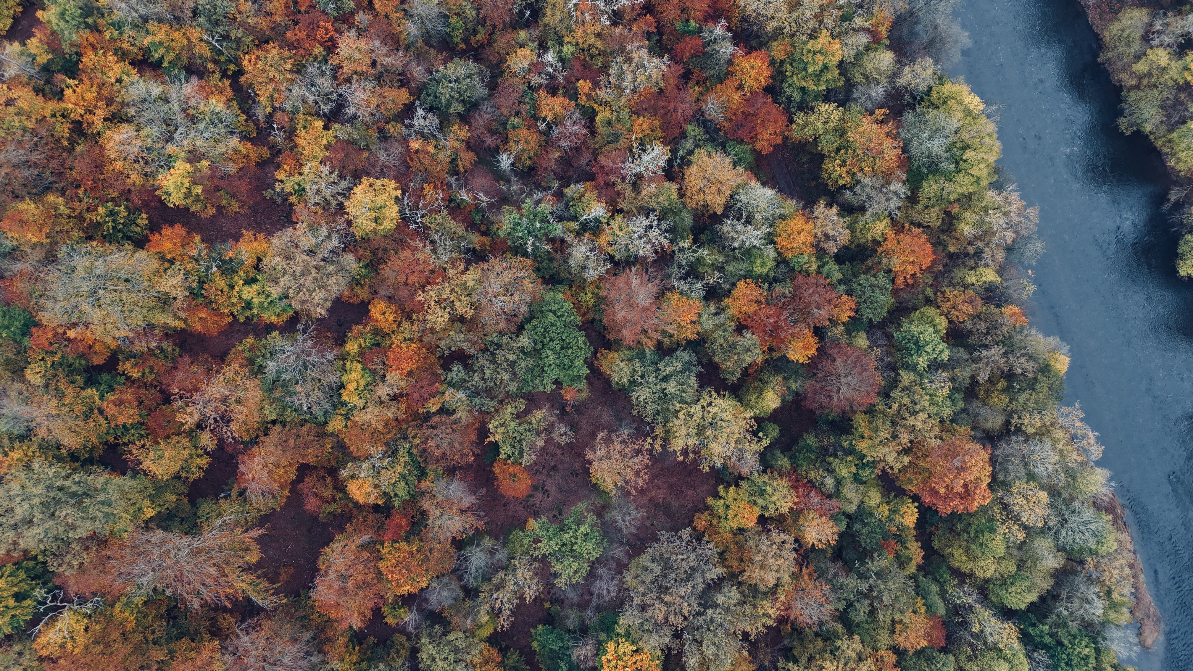 Autumn cover picture